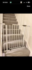 dog gate