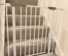dog gate