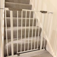 dog gate