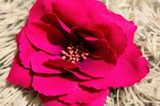 Bright Pink Flower Clip/ Brooch Versatile &amp; Eye-Catching