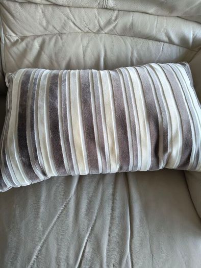 Cushions x 4