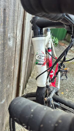 Giotto road bike