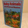 Baby Animals Of The Woods And Meadows Hardback Book Image 3