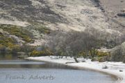 Mounted Original Photography - Lough Dan Strand, Wicklow