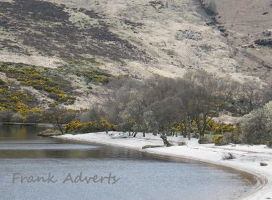 Mounted Original Photography - Lough Dan Strand, Wicklow