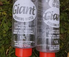 Rabbit water bottle