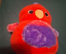 bird teddy