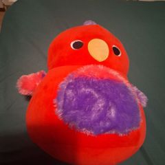 bird teddy
