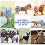 Dog Diapers /Reusable Nappies Image 10