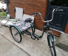 Adult trike