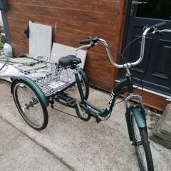 Adult trike