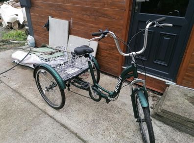 Adult trike