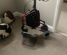 mobility walker