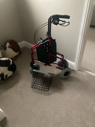 mobility walker
