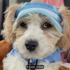 Brand-new Dog or Cat Summer Hat