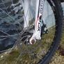 Bicke Image 7