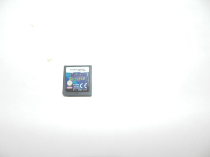 Nintendo  D S