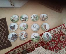 1984 Franklin Mint Bird Plates
