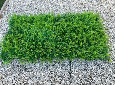 Artificial Wall Grass