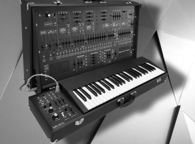 Wtb: Arp 2600fs