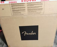 Guitar amp Fender champion 100 (II) 2X12