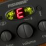 Acoustic Bass Image 2