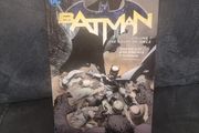 Batman Vol. 1: The Court of Owls (The New 52) (Soft cover)