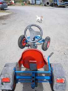 Berg Go Karts