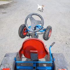 Berg Go Karts
