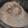 Metallic Blush Disc Shape Fascinator Image 2