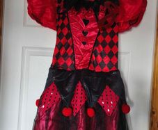 Harlequin costume