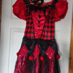 Harlequin costume