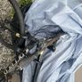 mens bike Image 2