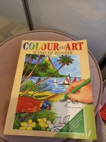 adult colouring book