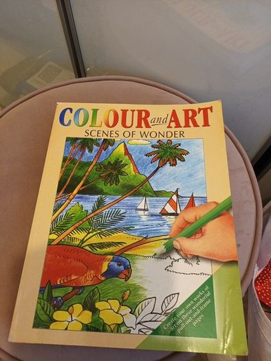 adult colouring book