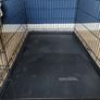 Dog crate Image 3