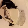 Fabulous Lea Stein Brooch Image 3