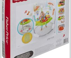 Fisher price roaring rainforest baby jumperoo