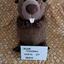Jellycat Briggs Beaver Canadian Exclusive BNWT Image 2