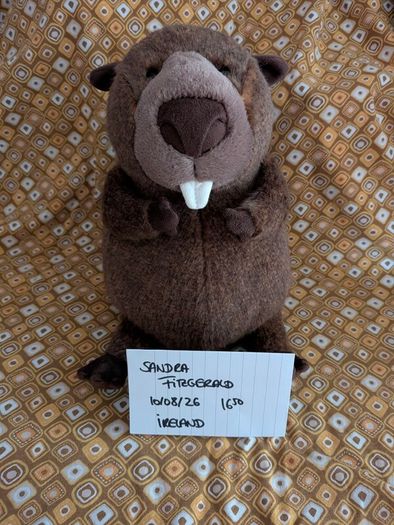 Jellycat Briggs Beaver Canadian Exclusive BNWT