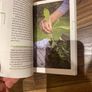 gardening book Image 6