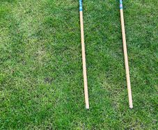 Robin Polly Leaf Garden Rake