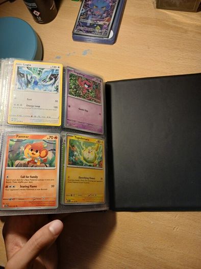 Full pokemon card binder