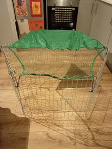 Rabbit cage