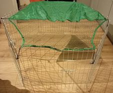 Rabbit cage