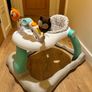 baby walker Image 4