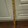 Walking stick Image 3