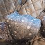 42 DD push up wired brand new bra Image 2