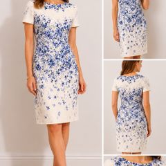 Gorgeous Hobbs Hannah dress UK14 EU42