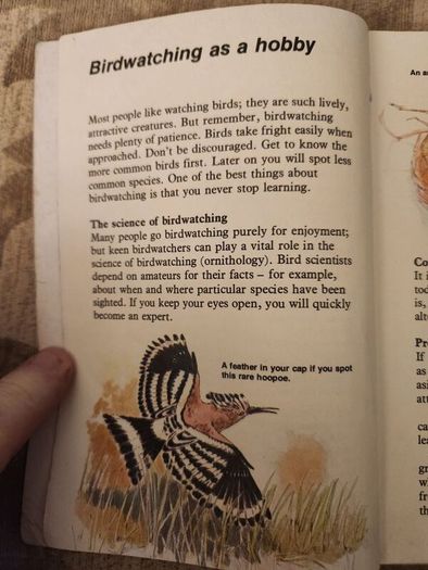 Whizz Kids. Birdwatching First Edition Vintage 1979 Paperback In Good Condition. 36.